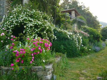Rendez-vous aux Jardins : Visite de la roseraie de Berty