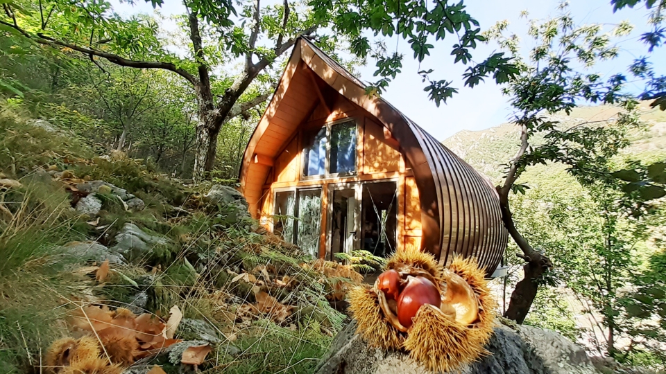 Les Cabanes du Loup Bleu