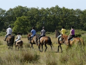 Equitation equitation-ardeche-907