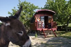 La Roulotte du Petit-Moras