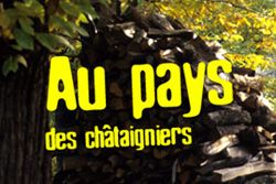 Office de tourisme des Châtaigniers