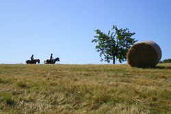 Rando Cheval Ardèche